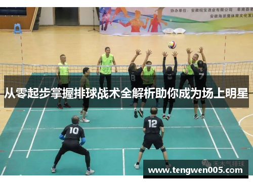 从零起步掌握排球战术全解析助你成为场上明星
