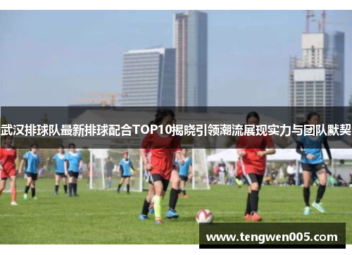 武汉排球队最新排球配合TOP10揭晓引领潮流展现实力与团队默契
