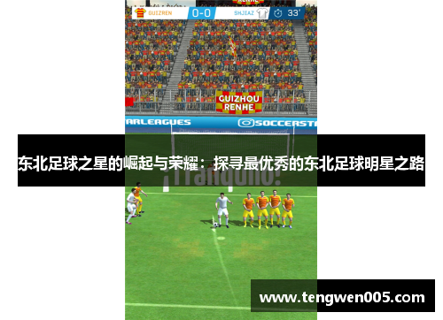 东北足球之星的崛起与荣耀：探寻最优秀的东北足球明星之路