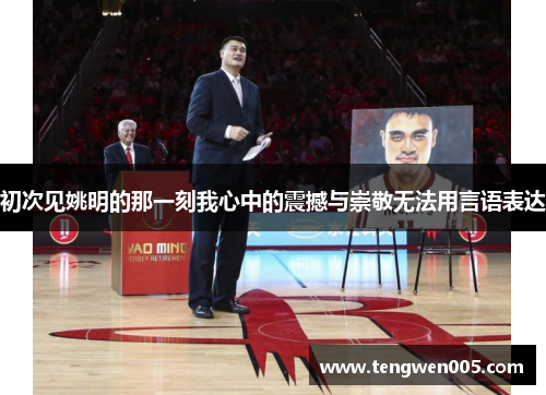 初次见姚明的那一刻我心中的震撼与崇敬无法用言语表达