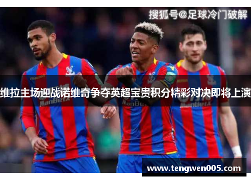 维拉主场迎战诺维奇争夺英超宝贵积分精彩对决即将上演
