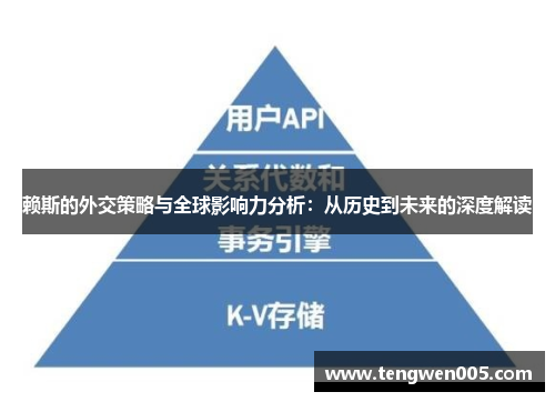 赖斯的外交策略与全球影响力分析：从历史到未来的深度解读